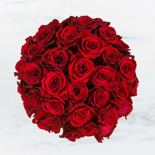 "Love's Embrace - Two Dozen Classy Red Roses"