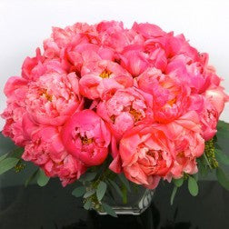 Peonies