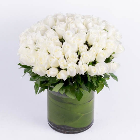 100 White Roses WoW