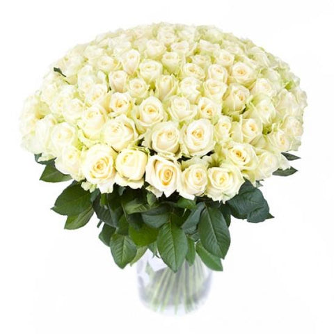 100 White Roses WoW