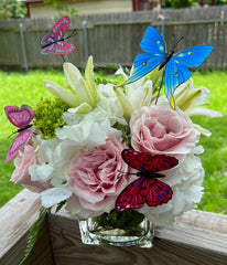 Pure Elegance with Butterfly Cute