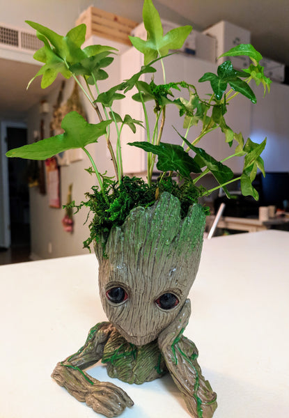 Have a Groot Day