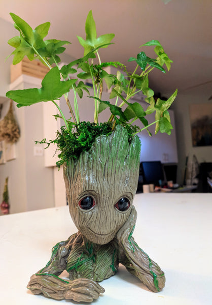 Have a Groot Day