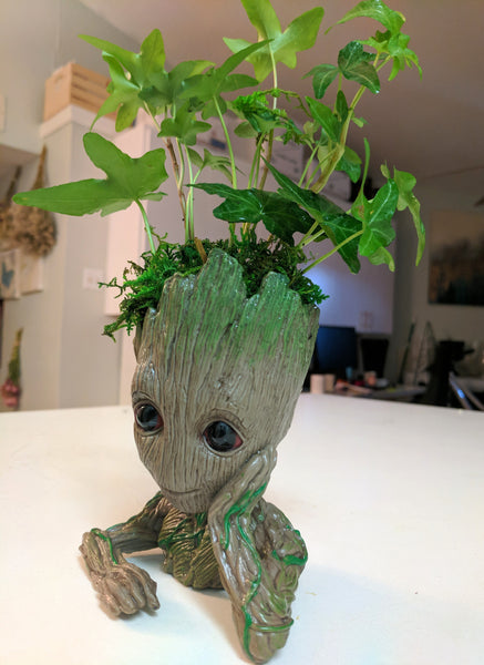 Have a Groot Day