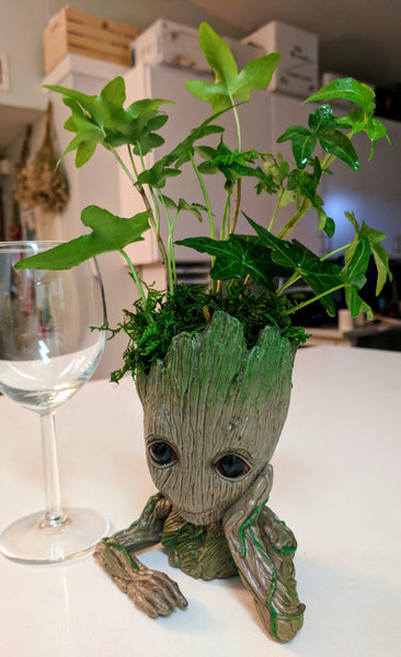 Have a Groot Day