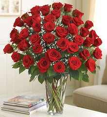 "Radiant Red Roses - A Bouquet of Long Stemmed Beauty"
