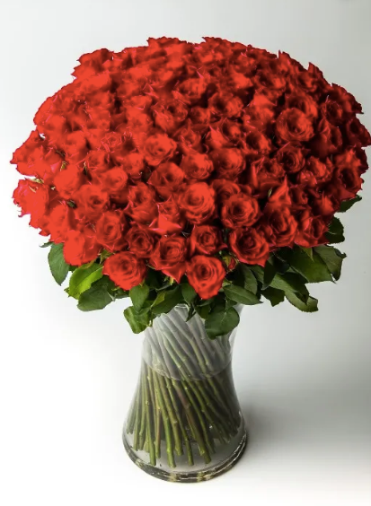 100 Premium Long Red Roses