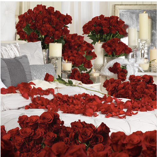 1000 Roses Propose Room Set Up