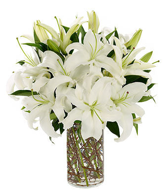 dozen white lilies White Lilies