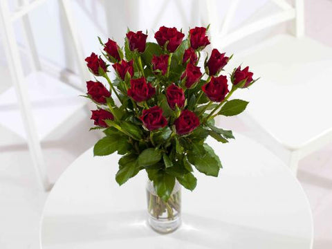 Deep Red Roses