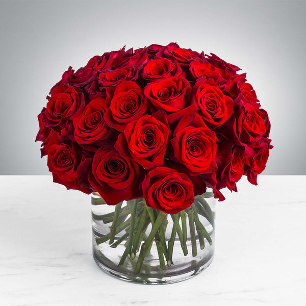 "Love's Embrace - Two Dozen Classy Red Roses"