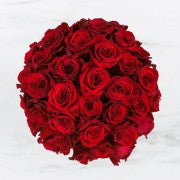 Valentine's Day
