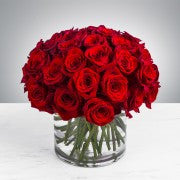 24 Roses "Love's Bloom"